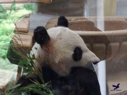 Tiergarten Schönbrunn am 15.05.2025